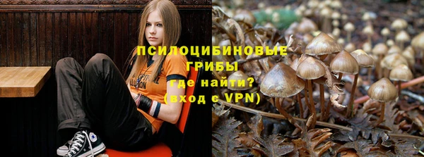 тгк Алексеевка