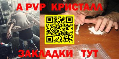 стаф Заводоуковск