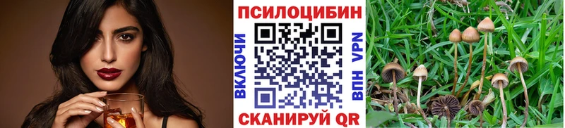 Галлюциногенные грибы ЛСД  продажа наркотиков  Брянск 