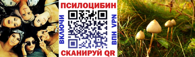 Галлюциногенные грибы Cubensis Брянск