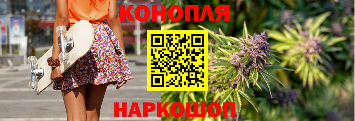 Бошки Шишки семена Брянск